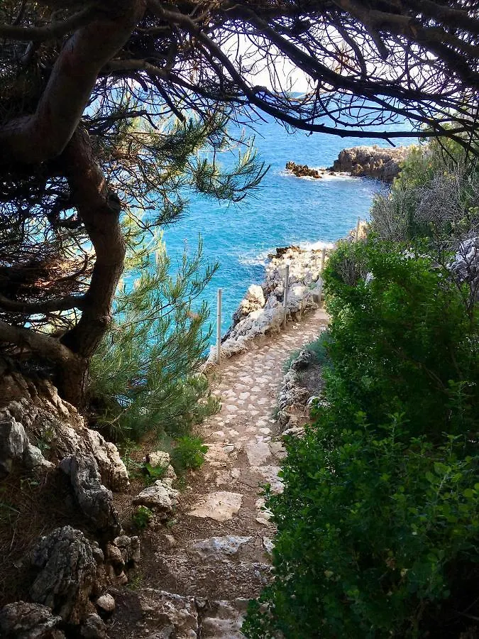 Artistic Antibes Apartment